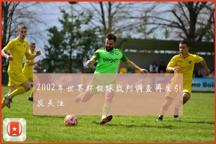 2002年世界杯假球裁判调查再度引发关注