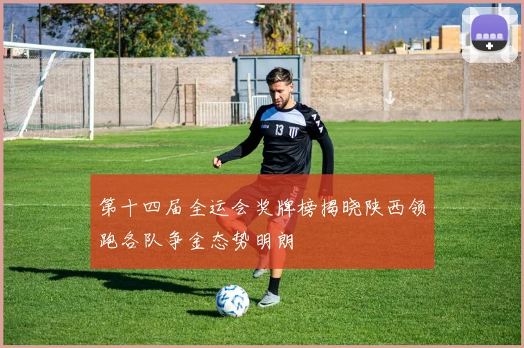 第十四届全运会奖牌榜揭晓陕西领跑各队争金态势明朗